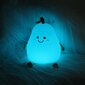 LED-lamp Lucky Pear FNL-02 multicolor silicon Forever Light hind ja info | Lastetoa valgustid | kaup24.ee