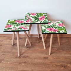 Lizdų stalas (3 vienetai) 3SHP192 - Pink цена и информация | Журнальные столики | kaup24.ee
