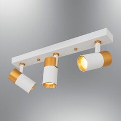 Dekoratyvinis LED apšvietimas L1625 - White цена и информация | Настенные светильники | kaup24.ee