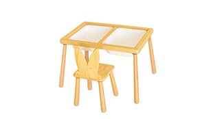 Vaiko stalo rinkinys Table and Chair - White цена и информация | Детские столы и стулья | kaup24.ee