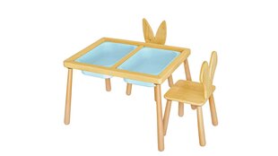 Vaiko stalo rinkinys Table and 2 Chairs - Blue hind ja info | Laste lauad ja toolid | kaup24.ee