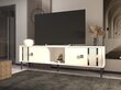 TV stalas Frede - White, Silver цена и информация | TV alused | kaup24.ee