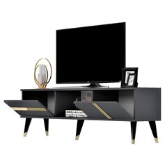 TV stalas Vania - Anthracite, Gold hind ja info | TV alused | kaup24.ee