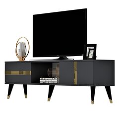 TV stalas Vania - Anthracite, Gold hind ja info | TV alused | kaup24.ee