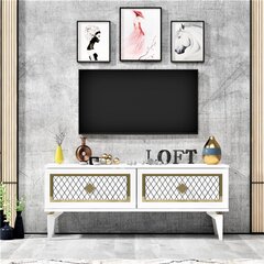 TV stalas Arel - White, Gold hind ja info | TV alused | kaup24.ee