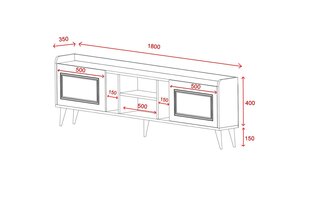 TV stalas Rudy v2 - White, Gold hind ja info | TV alused | kaup24.ee