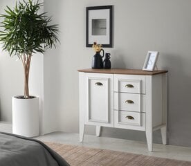 Dreserė Rustic Dresser hind ja info | Kummutid | kaup24.ee