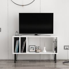 TV stalas Arven - White, Anthracite hind ja info | TV alused | kaup24.ee