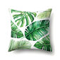 '1pc dzonɔameme tropical aŋgbawo polyester cushion nutsyɔnu ' цена и информация | Dekoratiivpadjad ja padjakatted | kaup24.ee