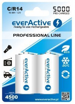 everActive HR14 C "Ready to Use" patareid цена и информация | Patareid | kaup24.ee