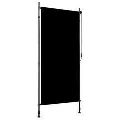 vidaXL väliruloo 100 x 270 cm, antratsiithall цена и информация | Рулонные шторы | kaup24.ee