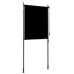 vidaXL väliruloo 100 x 270 cm, antratsiithall hind ja info | Rulood | kaup24.ee