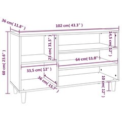 vidaXL jalatsikapp, kõrgläikega valge, 102x36x60 cm, tehispuit цена и информация | Полки для обуви, банкетки | kaup24.ee