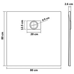 vidaXL dušialus, SMC, hall, 80 x 80 cm цена и информация | Стойки для душа | kaup24.ee