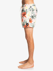 Quiksilver Everyday Garden rannas ujumispüksid hind ja info | Ujumispüksid, shortsid | kaup24.ee