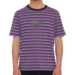 Volcom meeste Rayeah Stripes puuvillane t-särk hind ja info | Meeste T-särgid | kaup24.ee