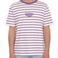 Volcom meeste Rayeah Stripes puuvillane t-särk цена и информация | Meeste T-särgid | kaup24.ee