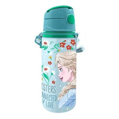 Water bottle 600 ml Frozen KiDS Licensing hind ja info | Klaasid, tassid ja kannud | kaup24.ee