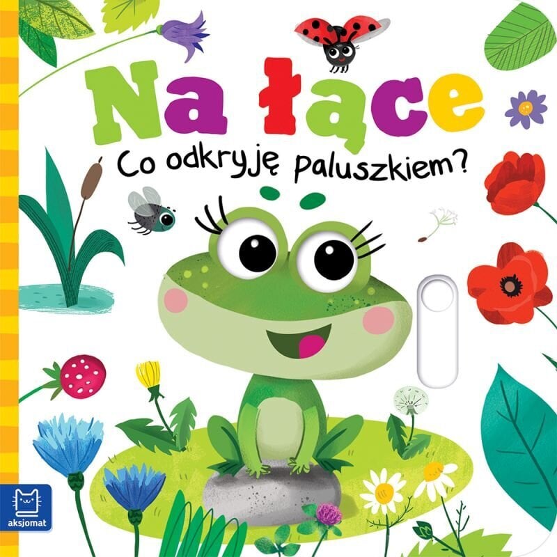 Mida ma näpuga leian? цена и информация | Väikelaste raamatud | kaup24.ee