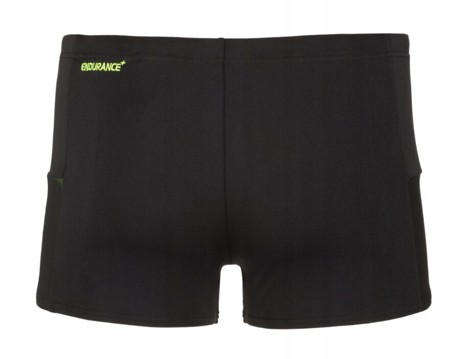 Ujumispüksid Speedo Mesh Panel Shorts 811749C712, S, M цена и информация | Ujumispüksid, shortsid | kaup24.ee