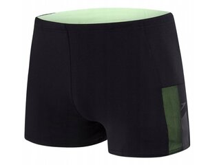 Ujumispüksid Speedo Mesh Panel Shorts 811749C712, S, M hind ja info | Ujumispüksid, shortsid | kaup24.ee