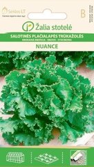 Цикорий Эндивий Nuance, 0.5 г цена и информация | Семена овощей, ягод | kaup24.ee