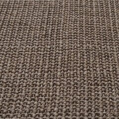 vidaXL vaip naturaalne sisal 80x350 cm, pruun hind ja info | Vaibad | kaup24.ee