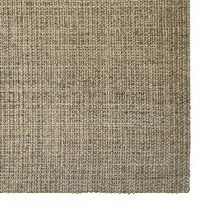 vidaXL vaip naturaalne sisal 66x300 cm, pruunikashall hind ja info | Vaibad | kaup24.ee