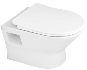 Granitan WC komplekt WC kauss raam nupp iste цена и информация | Унитазы | kaup24.ee
