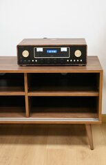 RETRO-stiilis puidust RTV-kapp SONOROUS RTRA-180-VIC-VIC laius 180cm hind ja info | TV alused | kaup24.ee