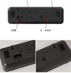 LED SEINAKATTE TIMER 12/24 LUSTER roheline hind ja info | Kellad | kaup24.ee