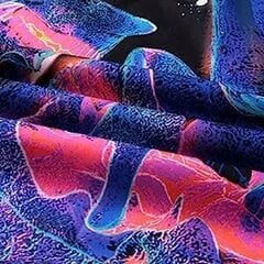 Настенное украшение UV FLUORESCENT GOBELIN ODBLASK 150x150cm Cosmos цена и информация | Картины, живопись | kaup24.ee