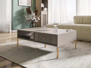 Журнальные столики Iseo FURNLUX CLASSIC, 104x68x40 cm, бежевый цена и информация | Журнальные столики | kaup24.ee