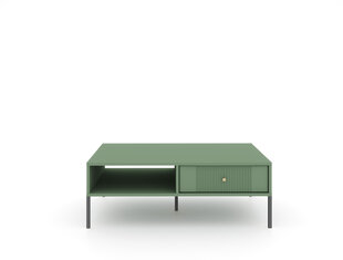 Журнальные столики Iseo FURNLUX CLASSIC, 104x68x40 cm, зеленый цена и информация | Журнальные столики | kaup24.ee