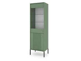 Vitriinkapp Iseo FURNLUX CLASSIC, 54x39x180 cm, roheline hind ja info | Vitriinkapid | kaup24.ee