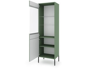 Vitriinkapp Iseo FURNLUX CLASSIC, 54x39x180 cm, roheline hind ja info | Vitriinkapid | kaup24.ee