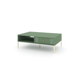 Журнальные столики Iseo FURNLUX CLASSIC, 104x68x40 cm, зеленый цена и информация | Журнальные столики | kaup24.ee