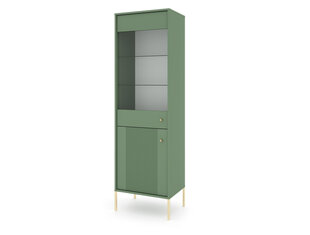 Vitriinkapp Iseo FURNLUX CLASSIC, 54x39x180 cm, roheline hind ja info | Vitriinkapid | kaup24.ee