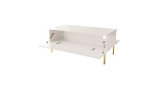 Diivanilaud Gala FURNLUX CLASSIC, 120x55x49 cm, valge hind ja info | Diivanilauad | kaup24.ee