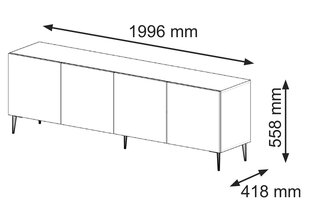 Тв-тумба Ravenna B FURNLUX CLASSIC, 200x42x56 cm, бежевый цена и информация | Тумбы под телевизор | kaup24.ee