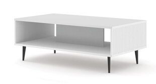 Diivanilaud Ravenna B FURNLUX CLASSIC, 90x60x43 cm, valge hind ja info | Diivanilauad | kaup24.ee