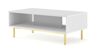 Diivanilaud Ravenna B FURNLUX CLASSIC, 90x60x45 cm, valge hind ja info | Diivanilauad | kaup24.ee