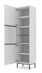 Vitriinkapp Ravenna B FURNLUX CLASSIC, 60x42x217 cm, valge hind ja info | Vitriinkapid | kaup24.ee