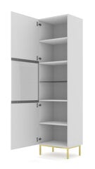 Vitriinkapp Ravenna B FURNLUX CLASSIC, 60x42x217 cm, valge hind ja info | Vitriinkapid | kaup24.ee