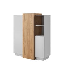 Комод 3D FURNLUX CLASSIC, 110x45x134 cm, белый цена и информация | Комоды | kaup24.ee