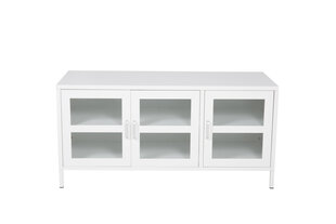 Тв-тумба Acero FURNLUX CLASSIC, 120x48x58 cm, белый цена и информация | Тумбы под телевизор | kaup24.ee