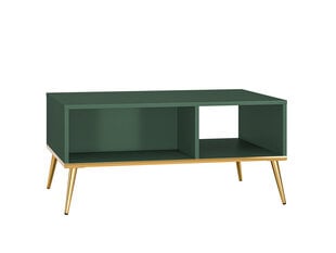 Журнальные столики Fort FURNLUX CLASSIC, 90x60x42 cm, зеленый цена и информация | Журнальные столики | kaup24.ee