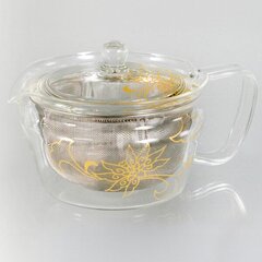 Hario - Cha-Cha Kyusu Zen Teapot - 450ml hind ja info | Kohvikannud, teekannud | kaup24.ee