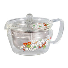 Hario - Kyusu Zen Teapot - 450ml hind ja info | Kohvikannud, teekannud | kaup24.ee