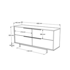 Консольные столы Ocean FURNLUX CLASSIC, 160x45x74 cm, натуральный цена и информация | Столы-консоли | kaup24.ee